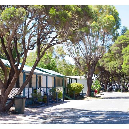 Discovery Parks - Coogee Beach Экстерьер фото