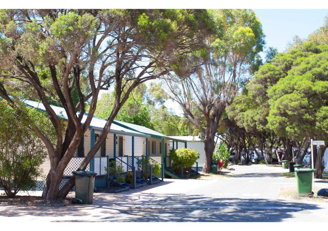 Discovery Parks - Coogee Beach Экстерьер фото